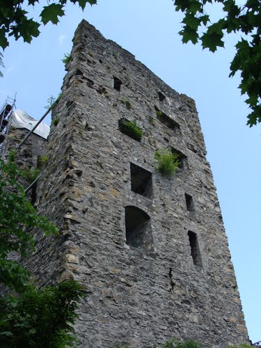 Neu- Montfort Castle (Burgruine Neu- Montfort)